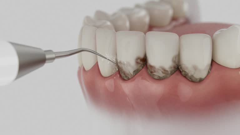 Reliable Dental contractor in Tuskegee, AL by Dentist Open Now